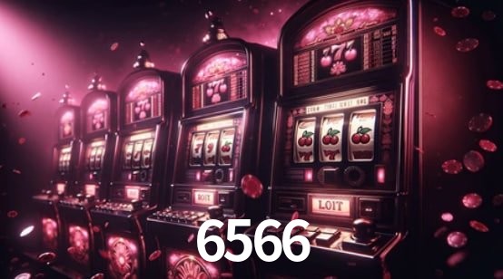 Experiência VIP 6566
